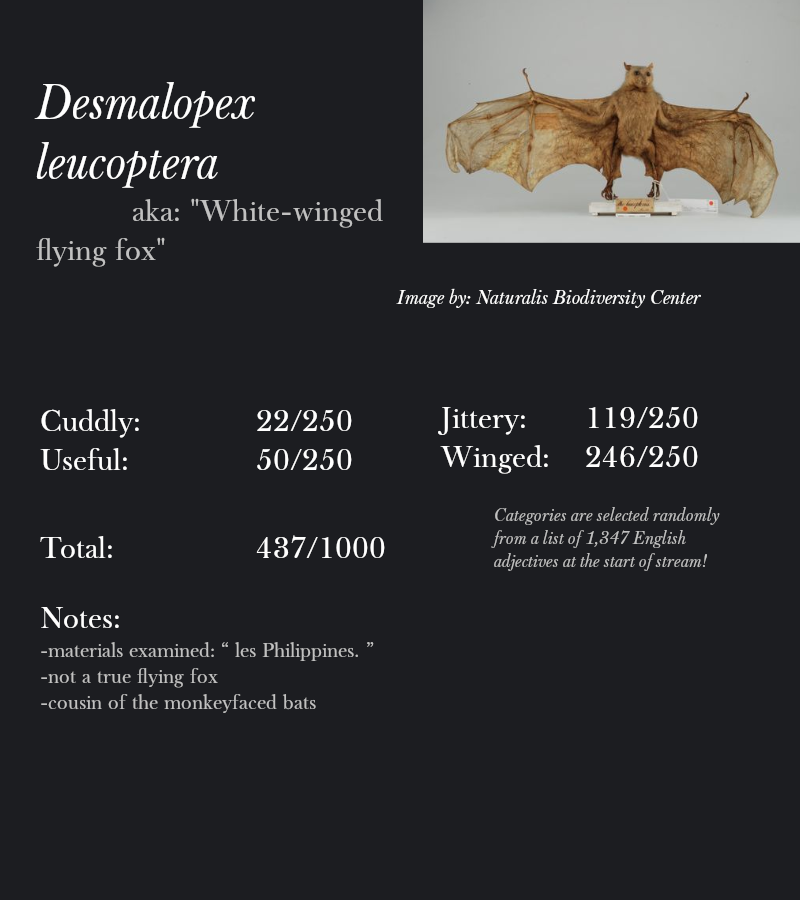 Desmalopex leucoptera